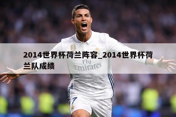 2014世界杯荷兰阵容_2014世界杯荷兰队成绩