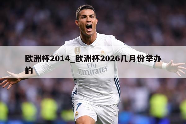 欧洲杯2014_欧洲杯2026几月份举办的
