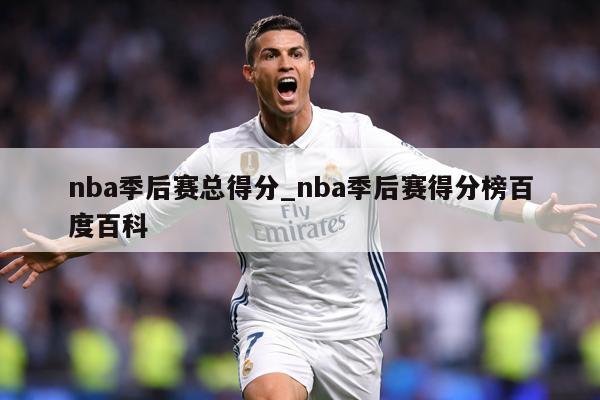 nba季后赛总得分_nba季后赛得分榜百度百科